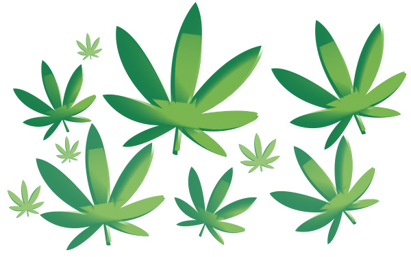 Marijuana leafs