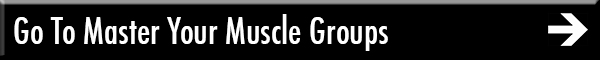 Go To Master Your Muscle Groups