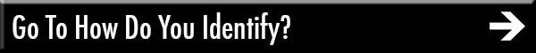 Go To How Do You Identify?
