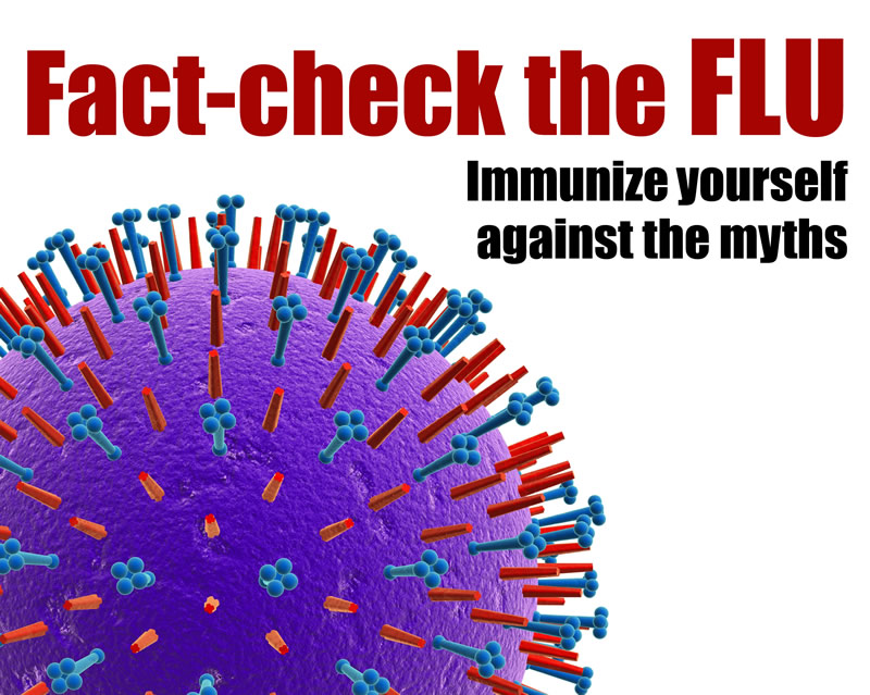 Fact-check the flu: Immunize yourself against the myths